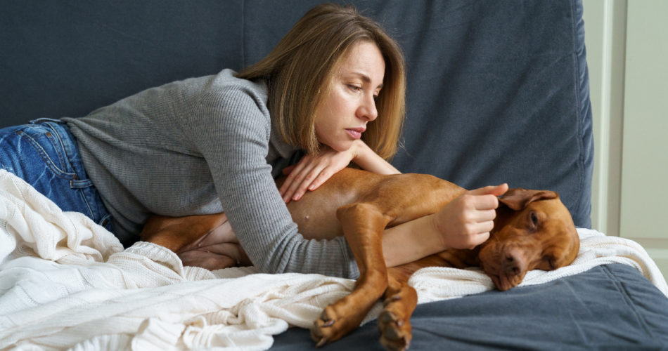 7 Signs That Your Dog May Be Sick and What to Do