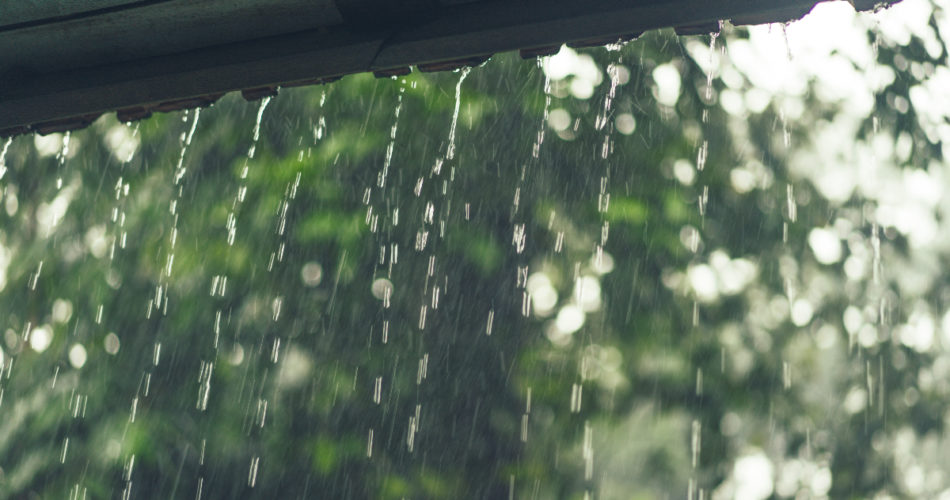 How to Reduce Runoff of Rainwater or Melted Snow Into Streets