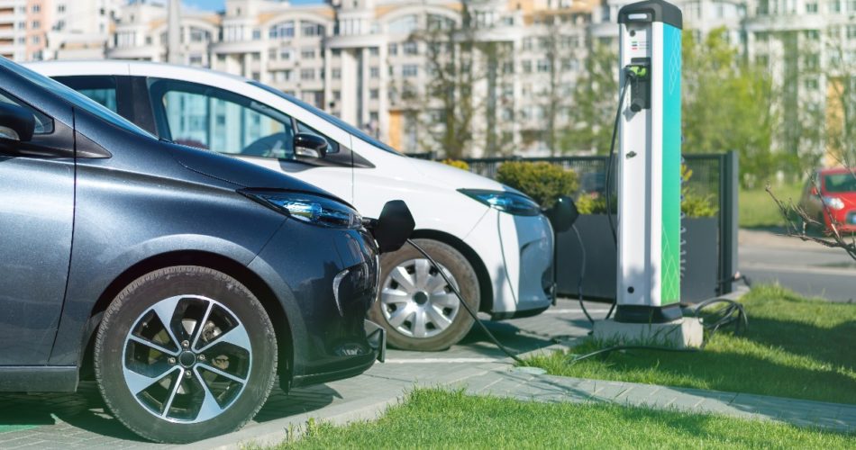 How to Select an Ideal Hybrid for Yourself
