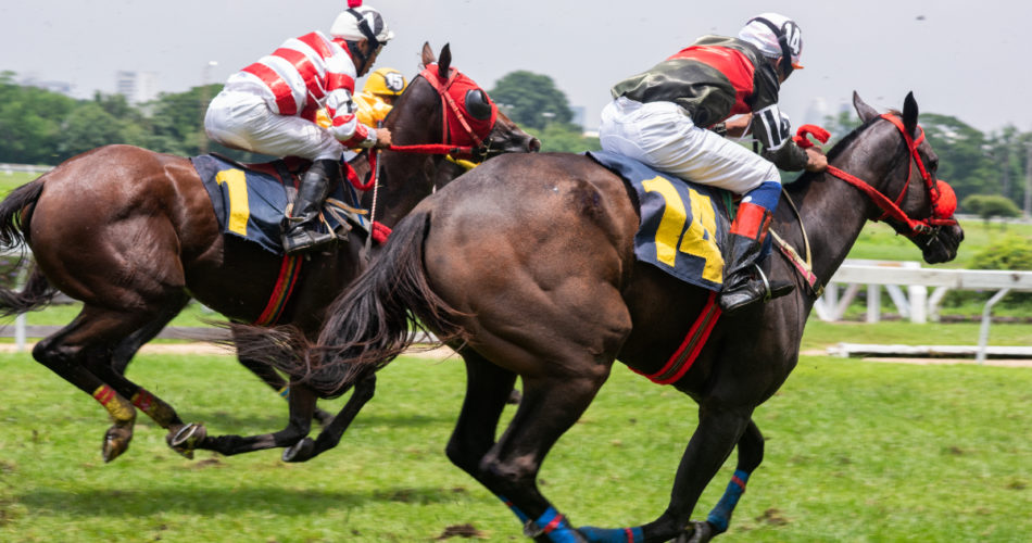 What Is the Best Bet to Make in Horse Racing