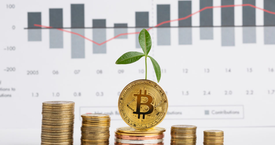 Why Such Hype about Bitcoin? Let's Find Out!