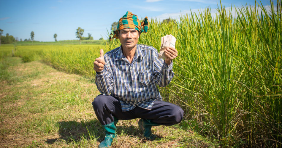 7 Business Tips for Farmers on How to Estimate Their Costs and Revenue