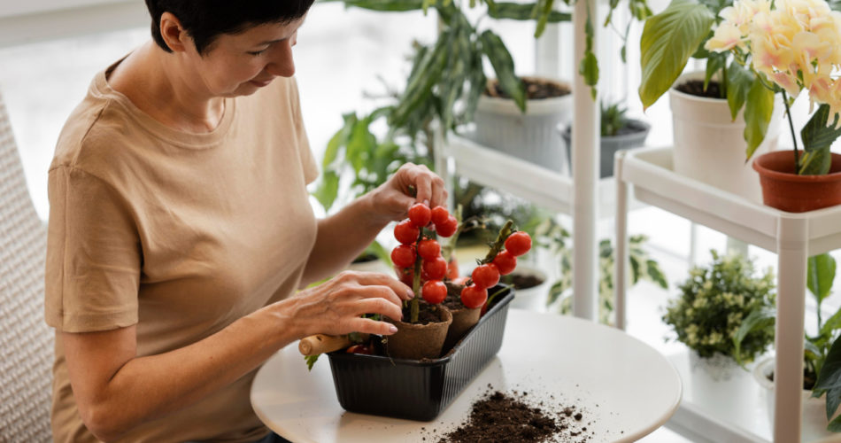 An Easy Guide to Growing Your Own Vegetables