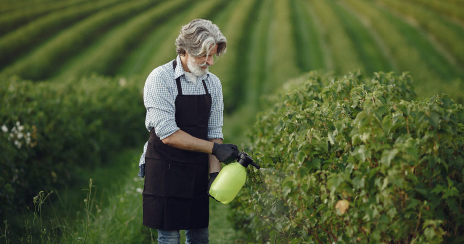 Top Dangers Linked To Paraquat Exposure And How To Deal With Them