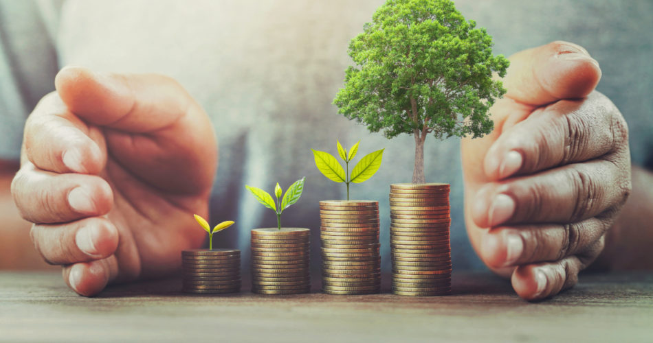 The Importance of Financial Wellness How to Achieve It