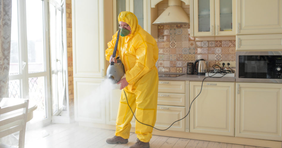 Nerd Tips For Households: How to Deal With the Pest Invasion