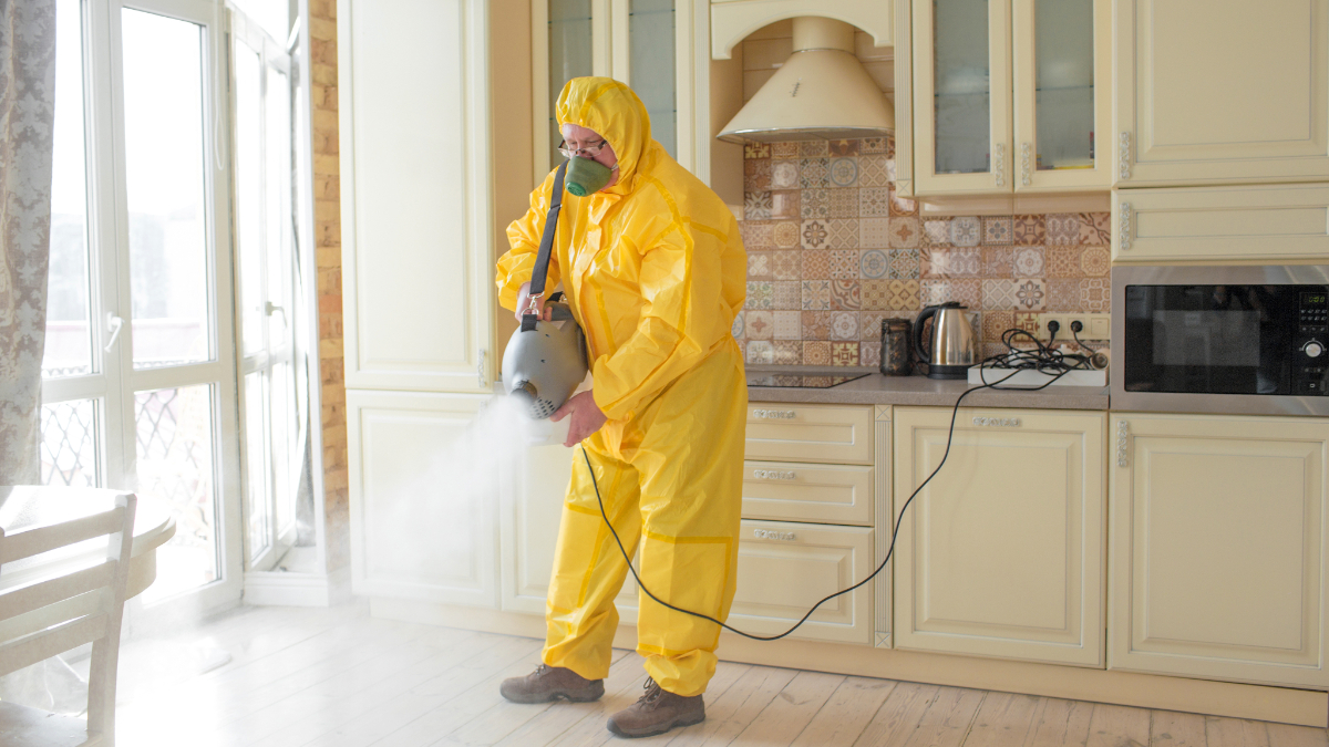Nerd Tips For Households: How to Deal With the Pest Invasion