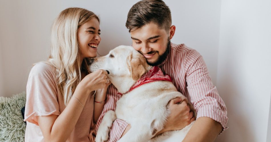 4 Ways That Getting a Pet Can Improve Your Household