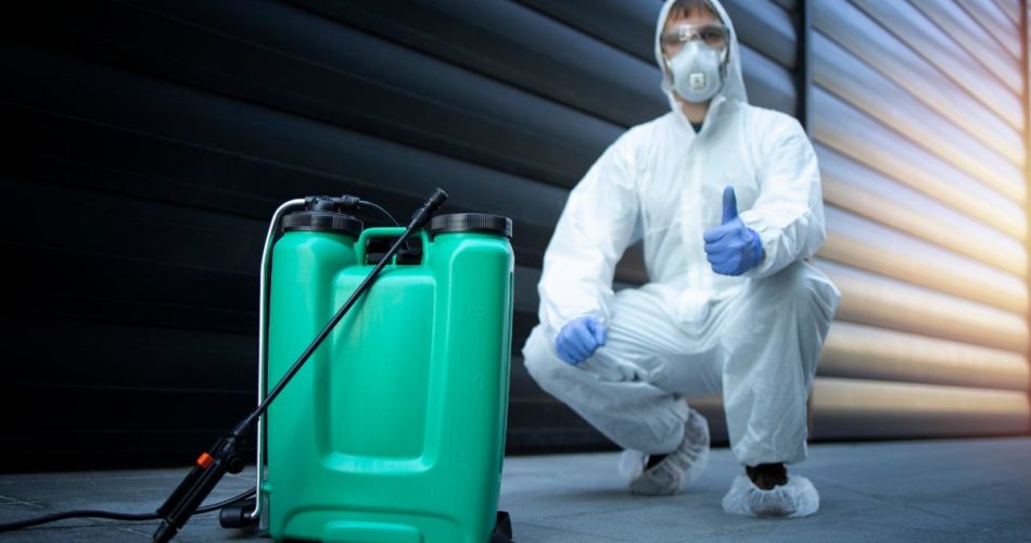 4 Important Differences Between Hiring Pest Control Services vs. Doing It Yourself
