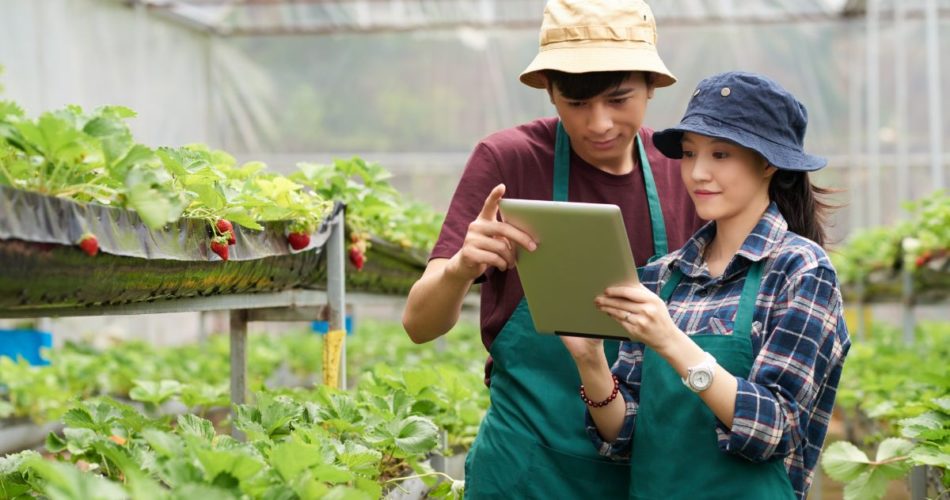 Smooth Out the Rough Patches in Your Small Business Processes