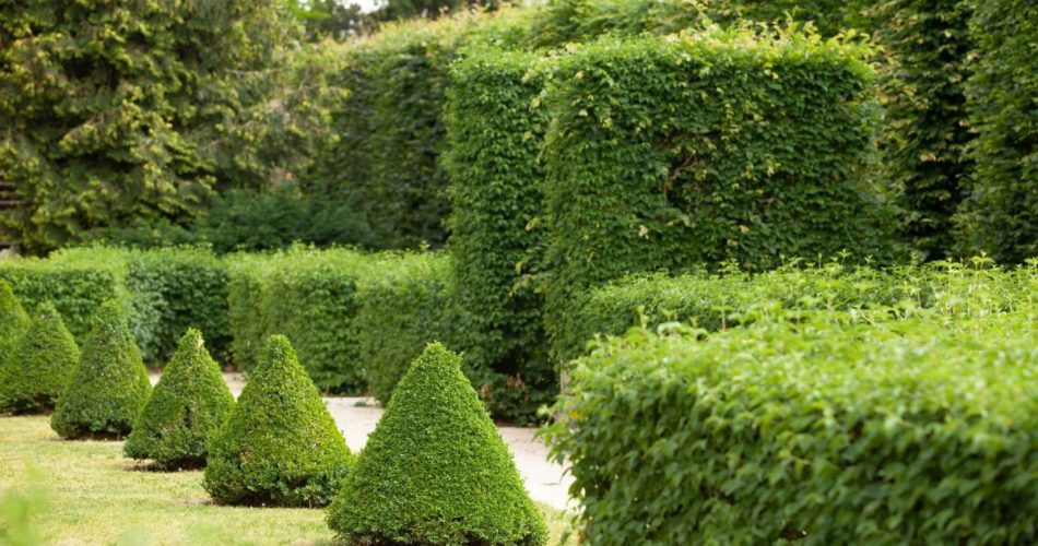 How to Create Spaces With Decorative Grass Wall?