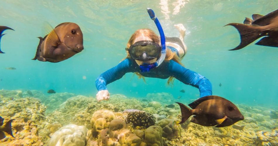 Why Is Snorkeling a Great Thing to Try on Your Next Beach Getaway?