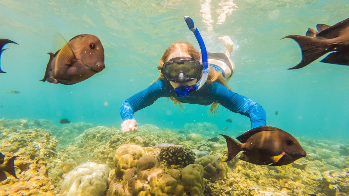 Why Is Snorkeling a Great Thing to Try on Your Next Beach Getaway?