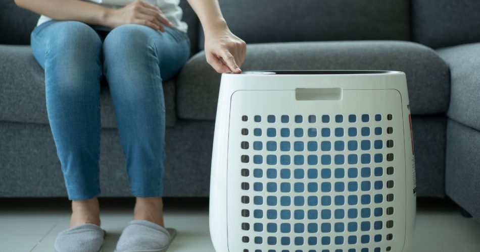 How to Keep Your Indoor Air Pure and Healthy for You