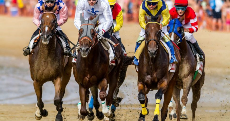 Are Horse Races Cancelled in the Rain