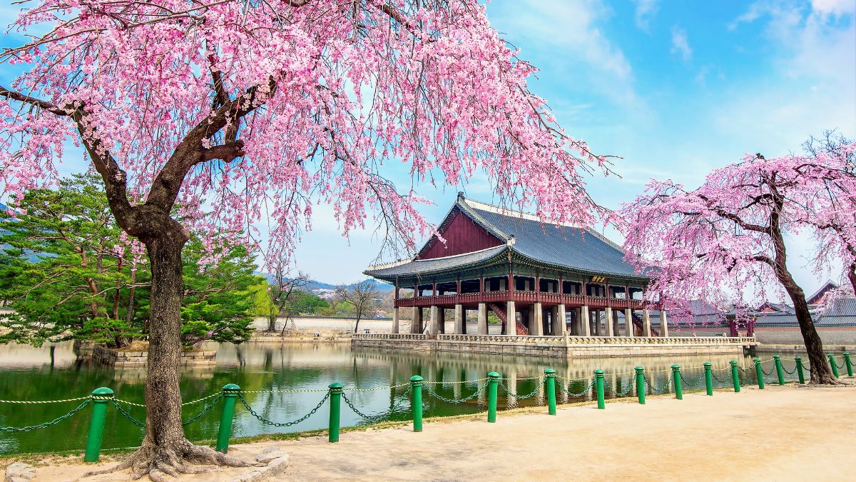 Things to Know Before Traveling to South Korea