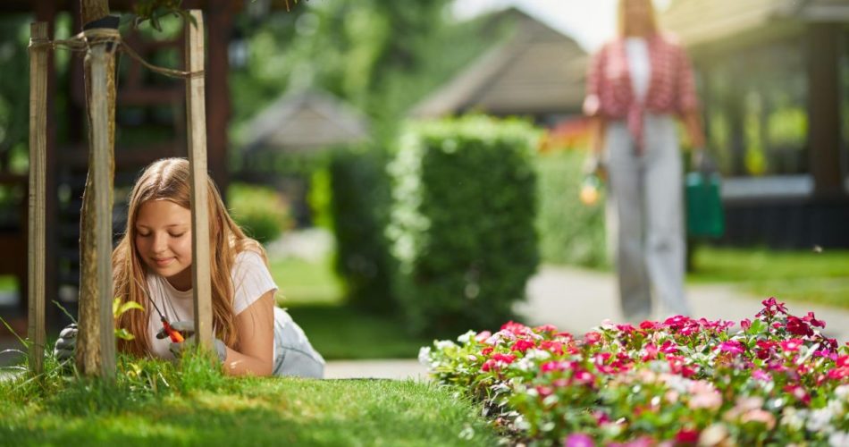 Backyard Bliss: Unveiling the Secrets to Low-Maintenance Landscapes