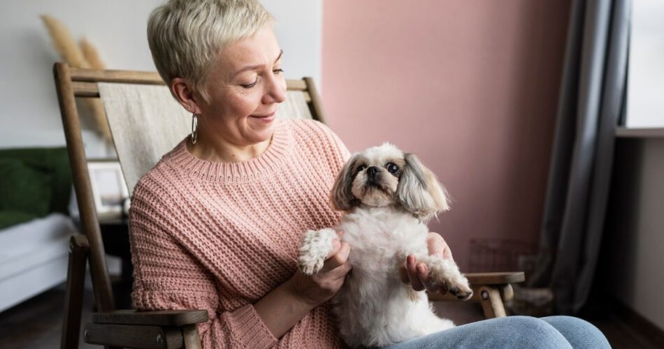 Are Small or Large Dogs Better for Elderly Companions?